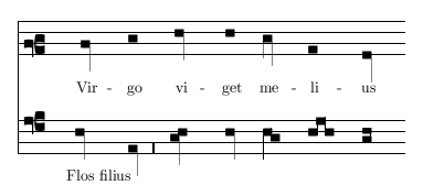 Virgo viget melius, Flos filius