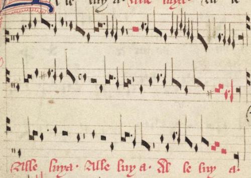 selden21v excerpt